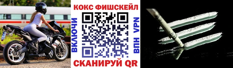 Где купить наркоту Александровское Галлюциногенные грибы  Альфа ПВП  Cocaine  ГАШИШ  Меф  МАРИХУАНА 