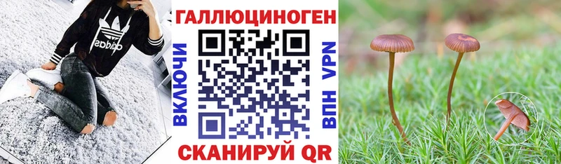 Галлюциногенные грибы Magic Shrooms  где продают наркотики  Александровское 